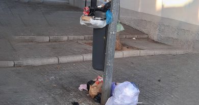 El desafío de la limpieza en Vista Alegre: El papel del Ayuntamiento y la responsabilidad vecinal en Jerez