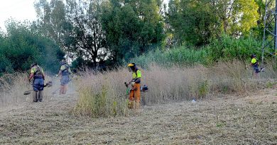 El Ayuntamiento de Jerez Intensifica los Trabajos de Desbroce para Prevenir Incendios y Mejorar la Salubridad