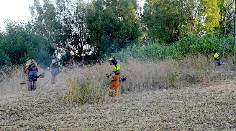 El Ayuntamiento de Jerez Intensifica los Trabajos de Desbroce para Prevenir Incendios y Mejorar la Salubridad