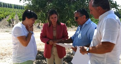 Jerez impulsa el Enoturismo: Avance en la Ruta Pago de Balbaína-Hijuela de Tabajete