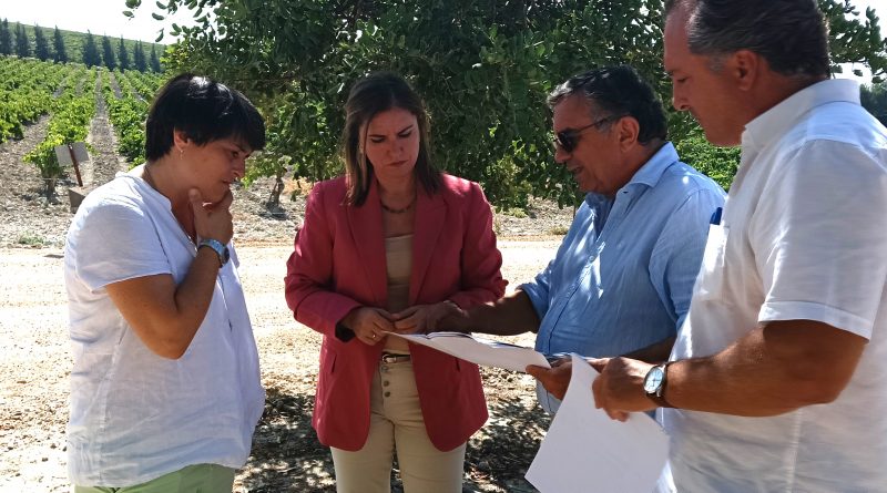 Jerez impulsa el Enoturismo: Avance en la Ruta Pago de Balbaína-Hijuela de Tabajete