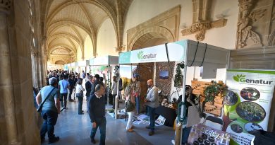Jerez Prepara Nueva Edición de la Feria de la Economía Local: Fechas, Participación y Objetivos