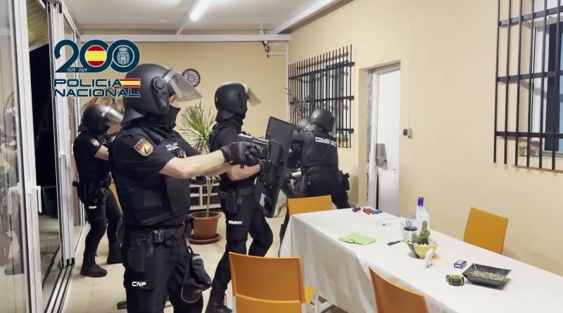 Desmantelan Célula del Balkan Cartel en España: Operación contra el Cultivo de Marihuana
