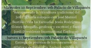 Fiestas de la Vendimia en Jerez de la Frontera: Un evento imperdible en Cádiz