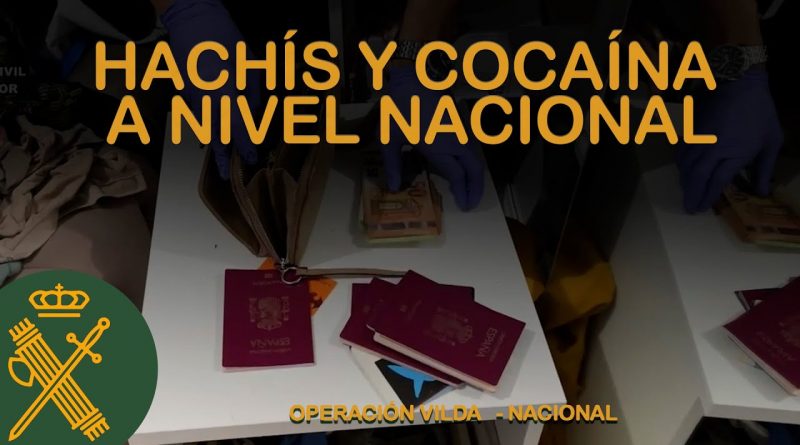 Desarticulada red de narcotráfico: 31 detenidos y 600 kg de hachís incautados en operación de la Guardia Civil