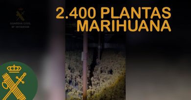 Desmantelada Plantación de Marihuana en Aspe: Guardia Civil Interviene 2.400 Plantas y Fraude Eléctrico