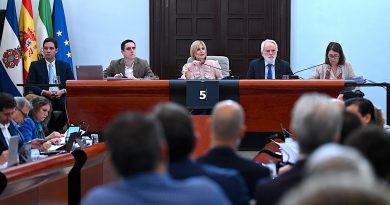 Jerez Concede la Medalla de Oro a Nuestra Señora de las Angustias en su Centenario