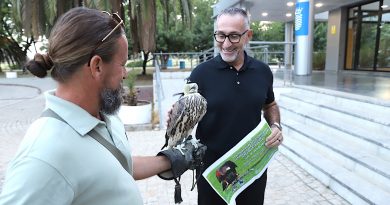 Jerez, sede del I Campeonato de Carreras de Halcones y Señuelo Mecánico en Complejo Chapín