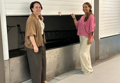 Mercado Federico Mayo Amplía su Oferta con un Nuevo Puesto de Congelados