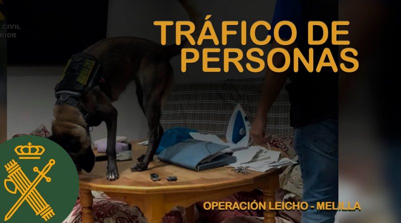 Desarticulada en Melilla Organización Criminal Dedicada al Tráfico de Personas: Operación ‘Leicho’