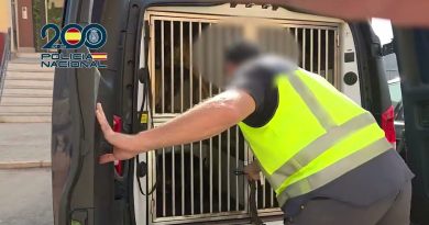 Desarticulada Red Criminal en Almería y Granada: Tráfico de Armas y Drogas