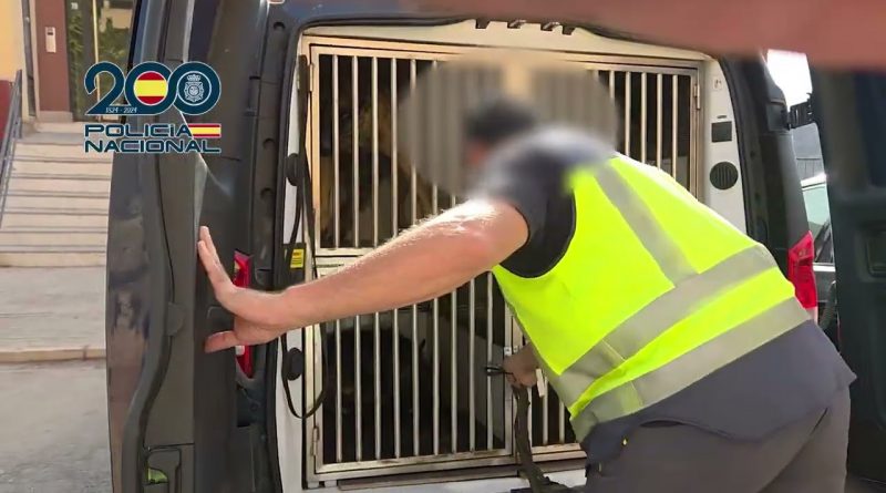 Desarticulada Red Criminal en Almería y Granada: Tráfico de Armas y Drogas