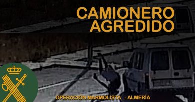 Detenidos en Almería por Ataque Brutal a Camionero: Intento de Homicidio y Robo