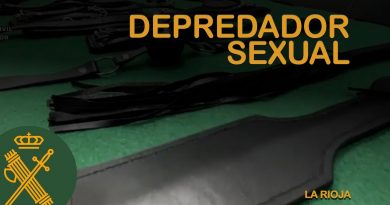 Detenido por Depredación Sexual: Guardia Civil Investiga Captación de Menor en Redes Sociales