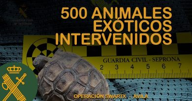 Desmantelada Red de Tráfico Ilegal de Animales Exóticos en Ávila: 472 Especímenes Recuperados