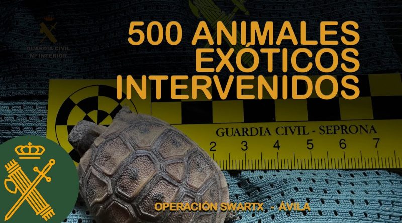 Desmantelada Red de Tráfico Ilegal de Animales Exóticos en Ávila: 472 Especímenes Recuperados