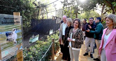 Convenio para la Conservación de la Cerceta Pardilla en Jerez: Impulso a la Biodiversidad