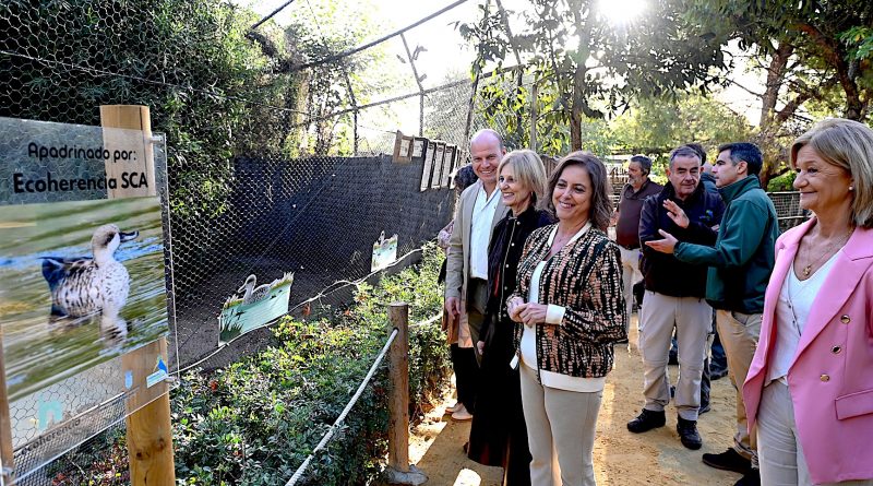 Convenio para la Conservación de la Cerceta Pardilla en Jerez: Impulso a la Biodiversidad