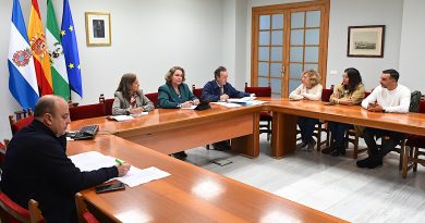 Emuvijesa Lanza Licitación Pública de Tres Parcelas Edificables en Jerez