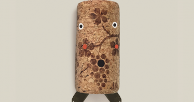 Festival Internacional de Títeres ‘Titerejé’ Iluminará Jerez con Más de 20 Espectáculos en Noviembre