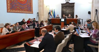 Jerez regula viviendas de uso turístico: Aprobada modificación del PGOU