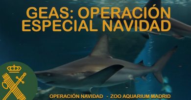 Guardia Civil Despliega Operación «Navidad»: Calendario Solidario y Belén Submarino