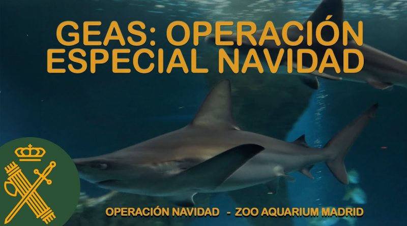 Guardia Civil Despliega Operación «Navidad»: Calendario Solidario y Belén Submarino