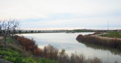 Renovación del Vallado de la Laguna de Torrox: Mejora de la Seguridad y Protección de la Biodiversidad