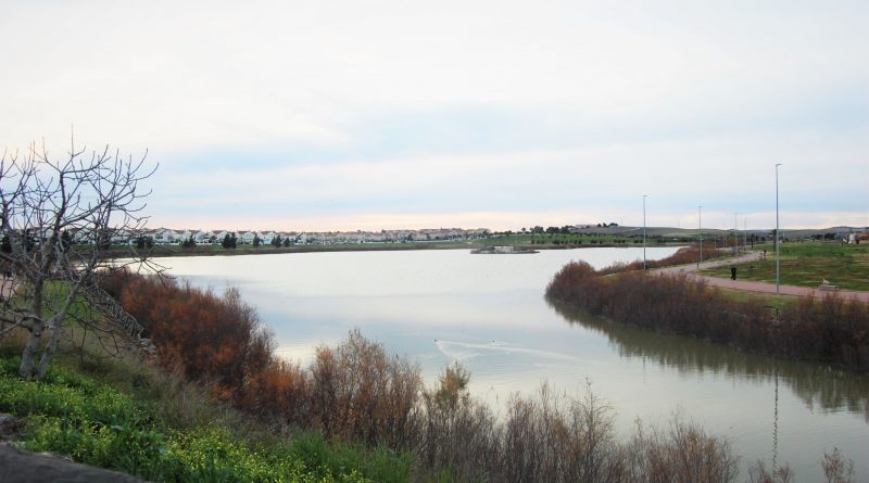 Renovación del Vallado de la Laguna de Torrox: Mejora de la Seguridad y Protección de la Biodiversidad