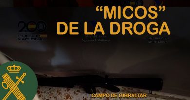 Golpe al Narcotráfico: Desarticuladas Tres Redes de Cocaína Vinculadas al Balkan Cartel