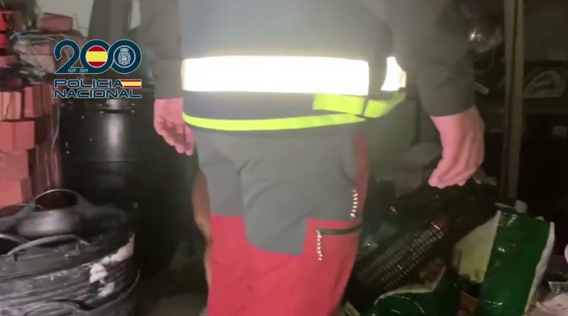 Clan Familiar Desmantelado en Sevilla: Explotación Laboral de Temporeros y Trata de Personas