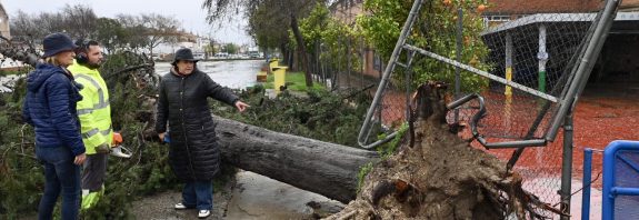 Jerez Activa Plan de Acción Urgente para Reparar Daños del Temporal en Centros Educativos