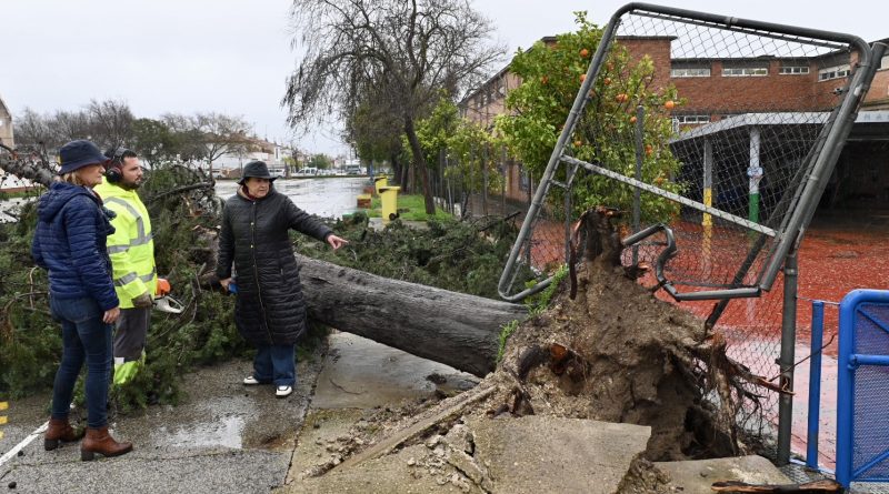 Jerez Activa Plan de Acción Urgente para Reparar Daños del Temporal en Centros Educativos